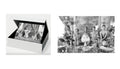 10 assorted NOTECARDS from SHINE with a 4x6 limited edition PRINT