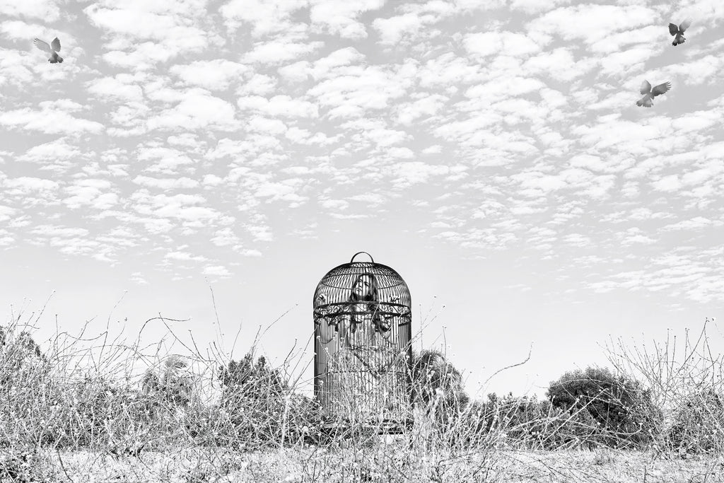 10 assorted NOTECARDS from SHINE