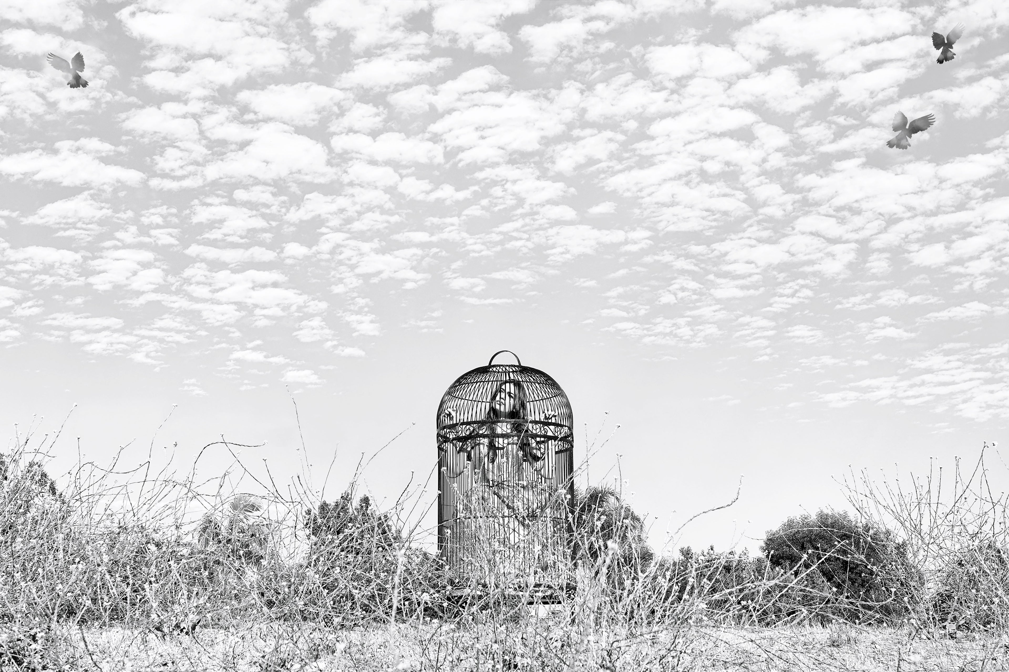 10 assorted NOTECARDS from SHINE